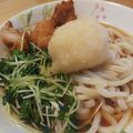 こるね's cooksnap of when they made おろしポン酢冷やしうどん.