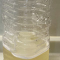ringer193's cooksnap of when they made 手作りの経口保水液.