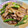 麻ぁちゃん's cooksnap of when they made オクラと豚肉のスタミナ炒め.