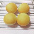 まあまま☆0403's cooksnap of when they made アーモンドミルクで★チョコみるく丸パン.
