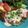 伊達こまち's cooksnap of when they made 真鱈のムニエル たらこソース.