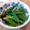 あーこ姐's cooksnap of when they made 簡単　オクラのあかり和え.