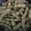 クックBLTENE☆'s cooksnap of when they made タジン鍋で枝豆.