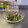 ☆おしょうの台所☆'s cooksnap of when they made 切って5分！ピーマンとミョウガの胡麻和え.