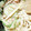 クックDTHOBK☆'s cooksnap of when they made 夏の定番メニュー！すったて.
