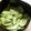 クックじぃじ☆'s cooksnap of when they made ズッキーニのナムル.