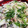 陸ケミ's cooksnap of when they made ✿きゅうりとしめサバのちらし寿司✿.