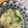 ayayahoney's cooksnap of when they made おうちで本格MIXタコス♪.