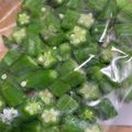 67luna's cooksnap of when they made オクラの冷凍保存.