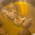 よっーすぅぃー's cooksnap of when they made 灯台つぶ貝煮付け.