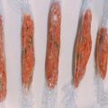 クックS5N2AF☆'s cooksnap of when they made 自家製ソーセージ セージ&トマト.