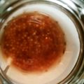 あんこだよ。's cooksnap of when they made 簡単すぎ！本格手作り粒マスタード.