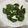 クック4JJMG3☆'s cooksnap of when they made 乾燥バジル.