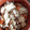 クックQ1UMSY☆'s cooksnap of when they made 秋の味覚☆鶏肉と舞茸の炊き込みご飯.