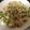 akko♪（＾＾）♪'s cooksnap of when they made 沖縄料理屋さん直伝【ゴーヤチャンプル】.