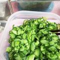 そらとだいち's cooksnap of when they made 《大量消費》我が家のきゅうりもみ.