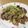 クックAC2T1O☆'s cooksnap of when they made ごま油香る、鶏もも肉ネギ焼き.
