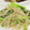 クックM6DK2O☆'s cooksnap of when they made 小松菜ともやしの簡単ごま油和え.