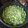 こうぶんママ's cooksnap of when they made 茹でるより美味しい！えだまめの蒸し焼き.