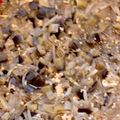 けーこころん's cooksnap of when they made 幼児食に☆茄子と鶏ひき肉のだしあんかけ.