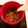 mayurich's cooksnap of when they made いくら茶漬け.
