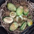クック2H9MD0☆'s cooksnap of when they made 美味しすぎ～♪冷たいネギ蕎麦♪.