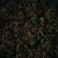チーズナッツ's cooksnap of when they made まろやか和風カレーそぼろ.
