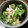 ramieru's cooksnap of when they made オクラと長芋の和え物.