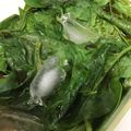 葉月優希's cooksnap of when they made レンジでつるむらさきのおひたし.