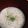 taekkomama's cooksnap of when they made 美肌スープ！ハト麦と長芋の豆乳スープ.