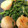 merciです's cooksnap of when they made ◎エビとホタテの空芯菜炒め◎.