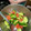 さらつむとし's cooksnap of when they made 簡単☆トマトときゅうりのゆず胡椒サラダ.