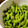 occo※'s cooksnap of when they made 枝豆のおいしい茹で方.