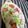 クックSUBTVS☆'s cooksnap of when they made レモンドレ野菜うどん.