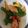 mantacarp's cooksnap of when they made 鮭とピーマンの胡麻甘酢漬け.