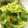 のんのんSTELLA's cooksnap of when they made 簡単♪ゴーヤの お浸し(*^^*).