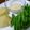 yunaochan's cooksnap of when they made 温野菜のアンチョビマヨソース☆.