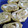 ゆずカフェ's cooksnap of when they made うす甘い♪ゆかりの卵焼き.