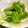 chikappe's cooksnap of when they made ✿いんげんのごまマヨ合え✿.