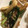 りお５１０'s cooksnap of when they made 万能ねぎと油揚げの炒めもの.