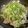 わっきー0424's cooksnap of when they made 簡単♥豚バラもやしポン酢♪.