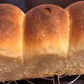 クックMV4BH9☆'s cooksnap of when they made もちもち蜂蜜食パン　自家製酵母.