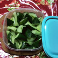 ショコちゃん˙ᵜ˙'s cooksnap of when they made 白だしで簡単！きゅうりのわさび漬け.
