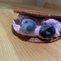 琉海結's cooksnap of when they made イチゴとブルーベリーのアイスビスケット.
