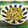龍青空ママ's cooksnap of when they made きのこと青菜たっぷり♡牛肉の炒め煮.