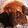 ♬あじさいのレシピ♬'s cooksnap of when they made 簡単すぎ！大満足！焼き肉丼.