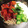 Rika☆Rin's cooksnap of when they made 鰻のとろろそば.