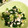 クックHLSCVG☆'s cooksnap of when they made ダイエット！ささみとわかめのごまサラダ.