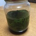 チーにゃん55's cooksnap of when they made ミントシロップ.