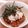あーこ姐's cooksnap of when they made 納豆とわさび漬けのおつまみ.
